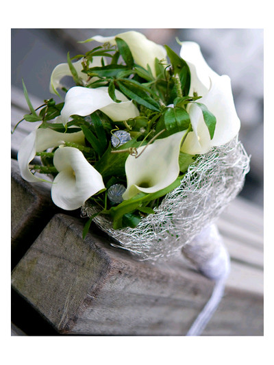 Calla Brautstrauß
 Welchen Brautstrauß – Beispiele der Brautsträuße