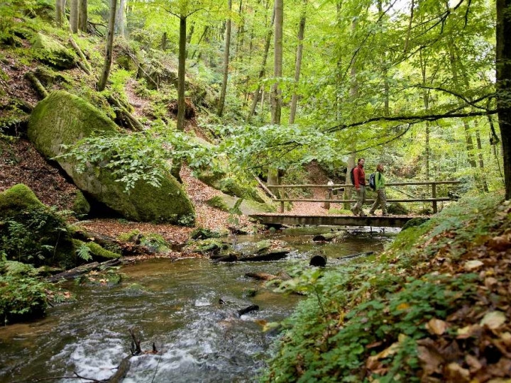 Camping Freizeitzentrum Sägmühle
 Camping Freizeitzentrum Sägmühle Trippstadt