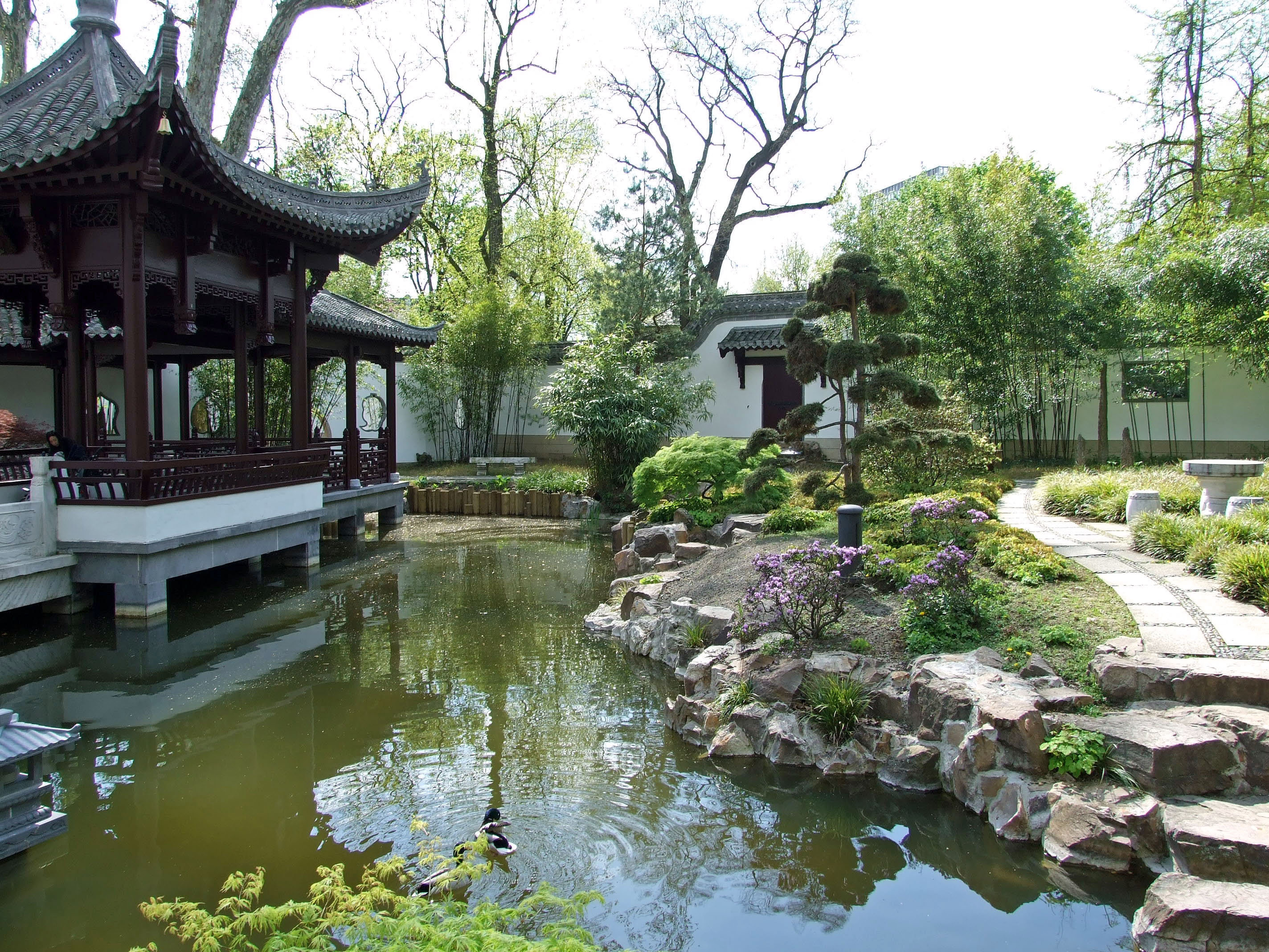 Chinesischer Garten
 File Chinesischer garten ffm020 Wikimedia mons