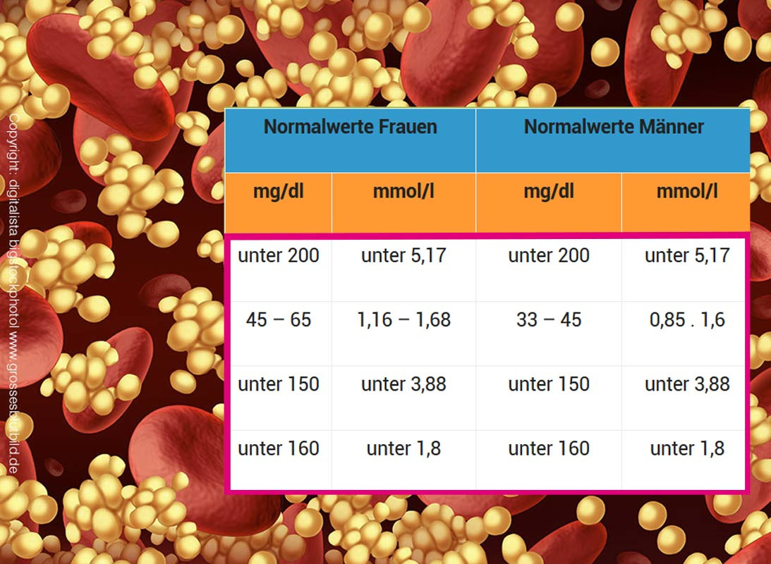 Cholesterinwerte Tabelle
 Cholesterinwerte Tabelle Normalwerte Männer und Frauen