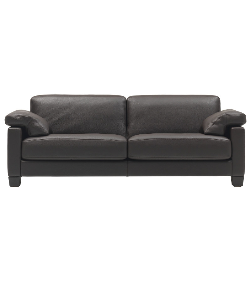 De Sede Sofa
 DS 17 De Sede Sofa Milia Shop