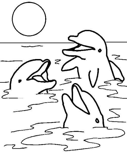 Delfin Ausmalbilder
 Delphin