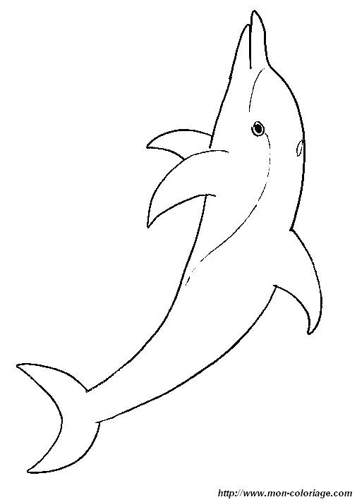 Delfin Ausmalbilder
 Malvorlagen Delphin Kinder Ausmalbilder Kostenlos