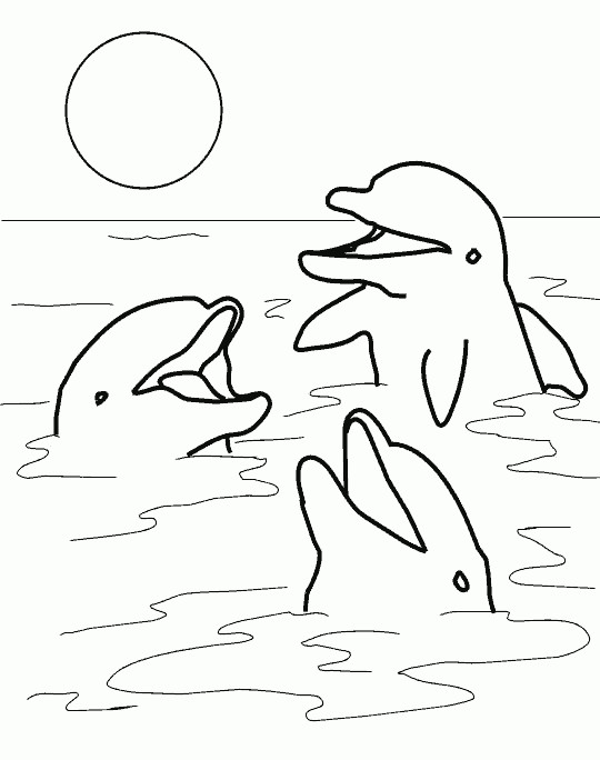Delfin Ausmalbilder
 Ausmalbilder Delphin 01 zeichnen
