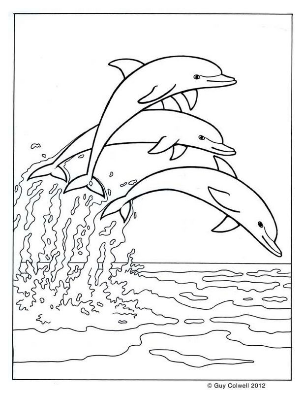 Delphin Ausmalbilder
 Ausmalbilder Delfin bild Drei Delphine springen zusammen