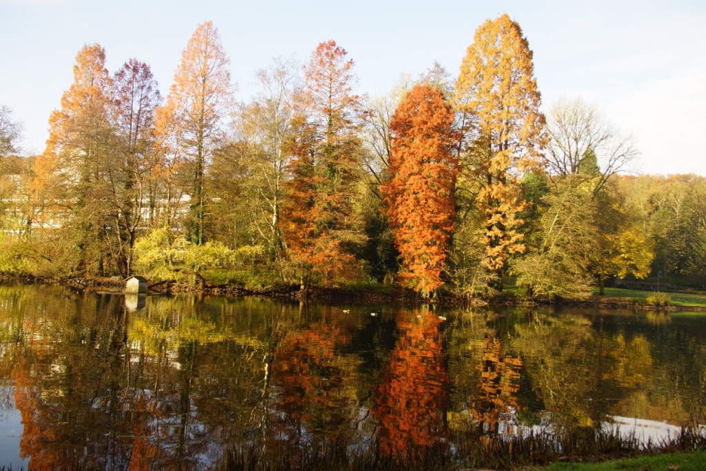 Deutsch Französischer Garten
 Deutsch Französischer Garten