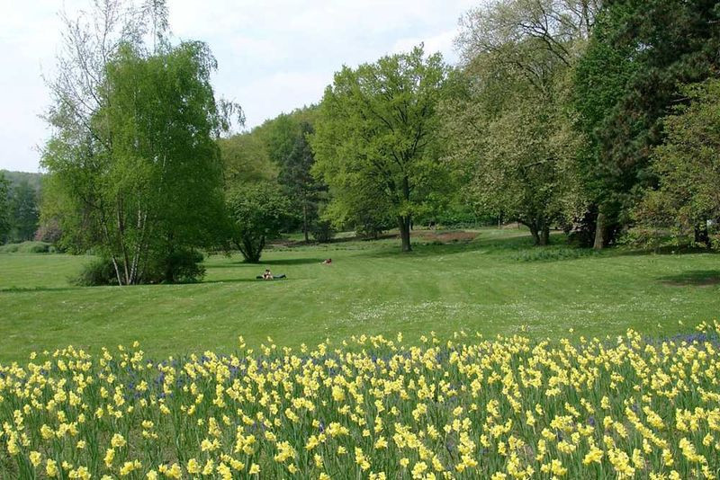 Deutsch Französischer Garten
 Deutsch Französischer Garten