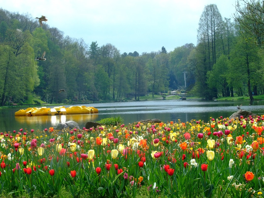 Deutsch Französischer Garten
 Deutsch Französischer Garten DFG – Saarfotos