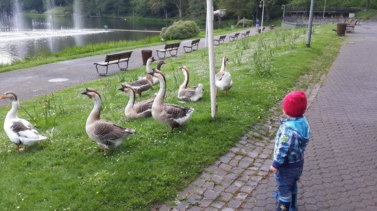 Deutsch Französischer Garten
 Deutsch Französischer Garten Saarbrücken Aktuelle 2017