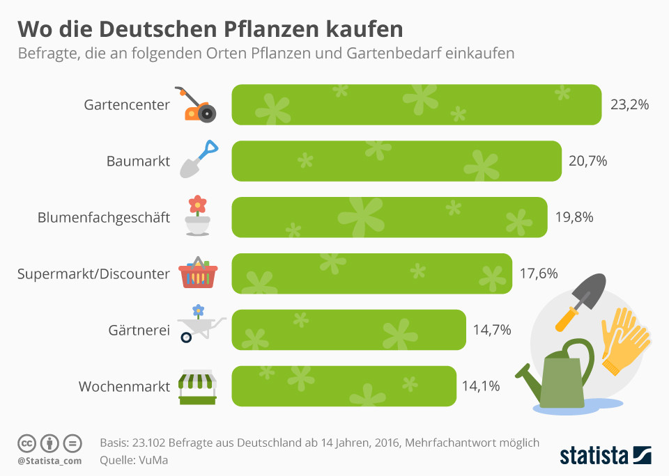 Die Meisten Deutschen Kaufen Geschenke Für...?
 Infografik Wo Deutschen Pflanzen kaufen