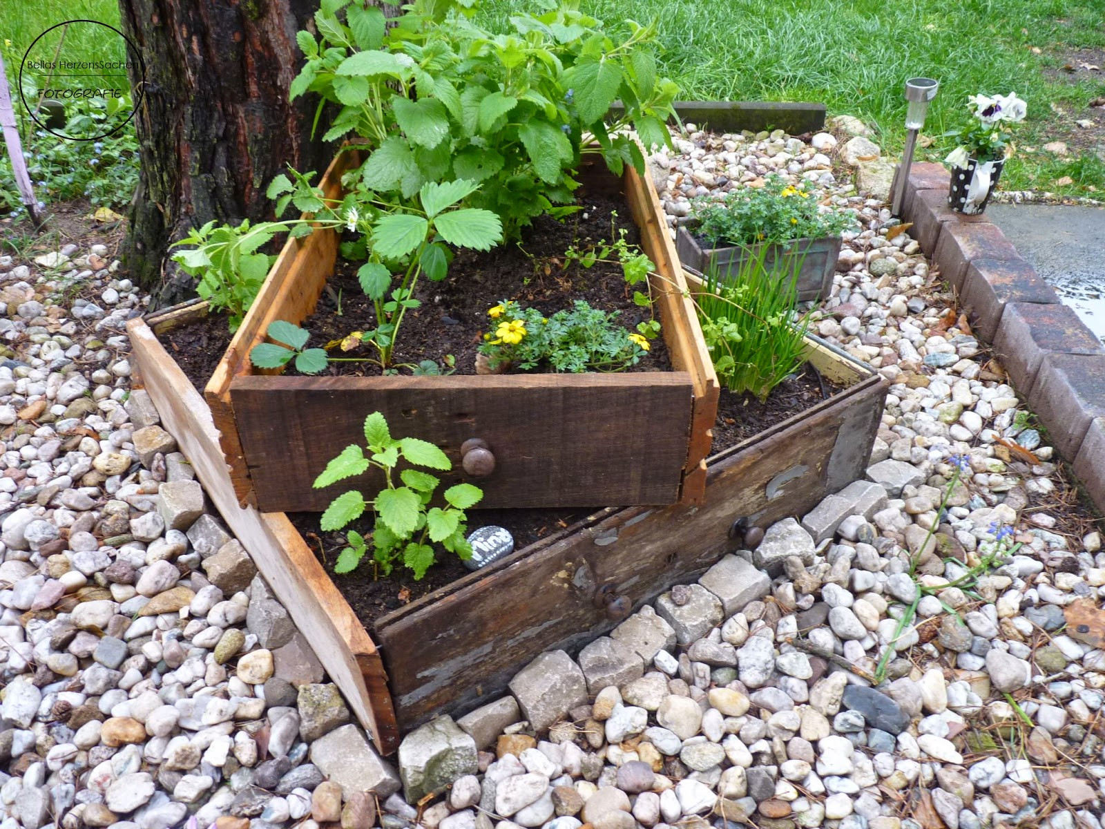 Diy Garten
 Tischbeet oder Kistenbeet Ein Hochbeet mal anders