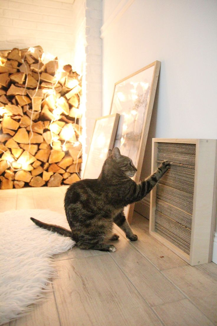 Diy Katzenmöbel
 Die besten 25 Kratzbaum holz Ideen auf Pinterest