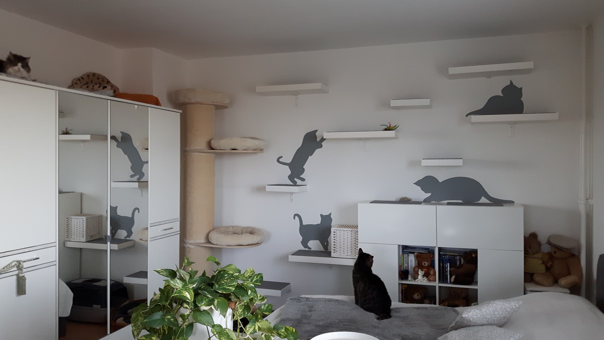 Diy Katzenmöbel
 DIY – Cat Walk mit Ikea Lack – Katzenblog