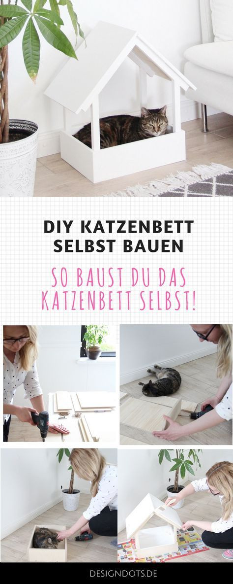 Diy Katzenmöbel
 DIY stillvolles Katzenbett selbst bauen Gatos