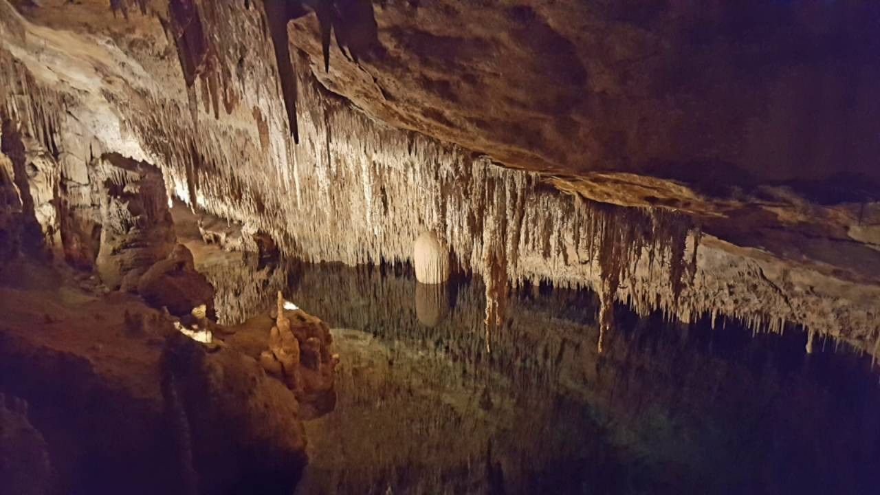 Drachenhöhle Porto Cristo
 Coves del Drac Porto Cristo Drachenhöhle