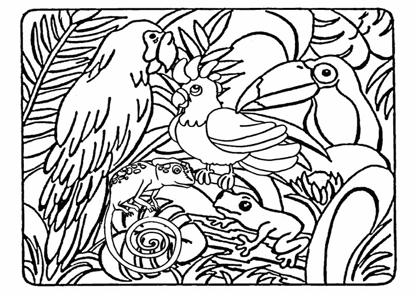 Dschungel Ausmalbilder
 coloriage animaux de la jungle