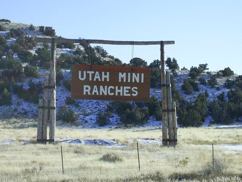 Duschende Ratte
 Duchesne UT Utah Mini Ranch photo picture image Utah