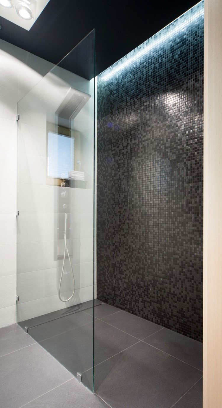 Ebenerdige Dusche
 Ebenerdige Dusche in 55 attraktiven modernen Badezimmern