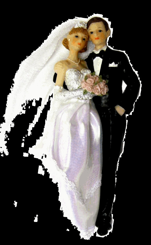 Ehepaar Hochzeit
 Ehepaar Hochzeit PNG Transparent Ehepaar Hochzeit PNG