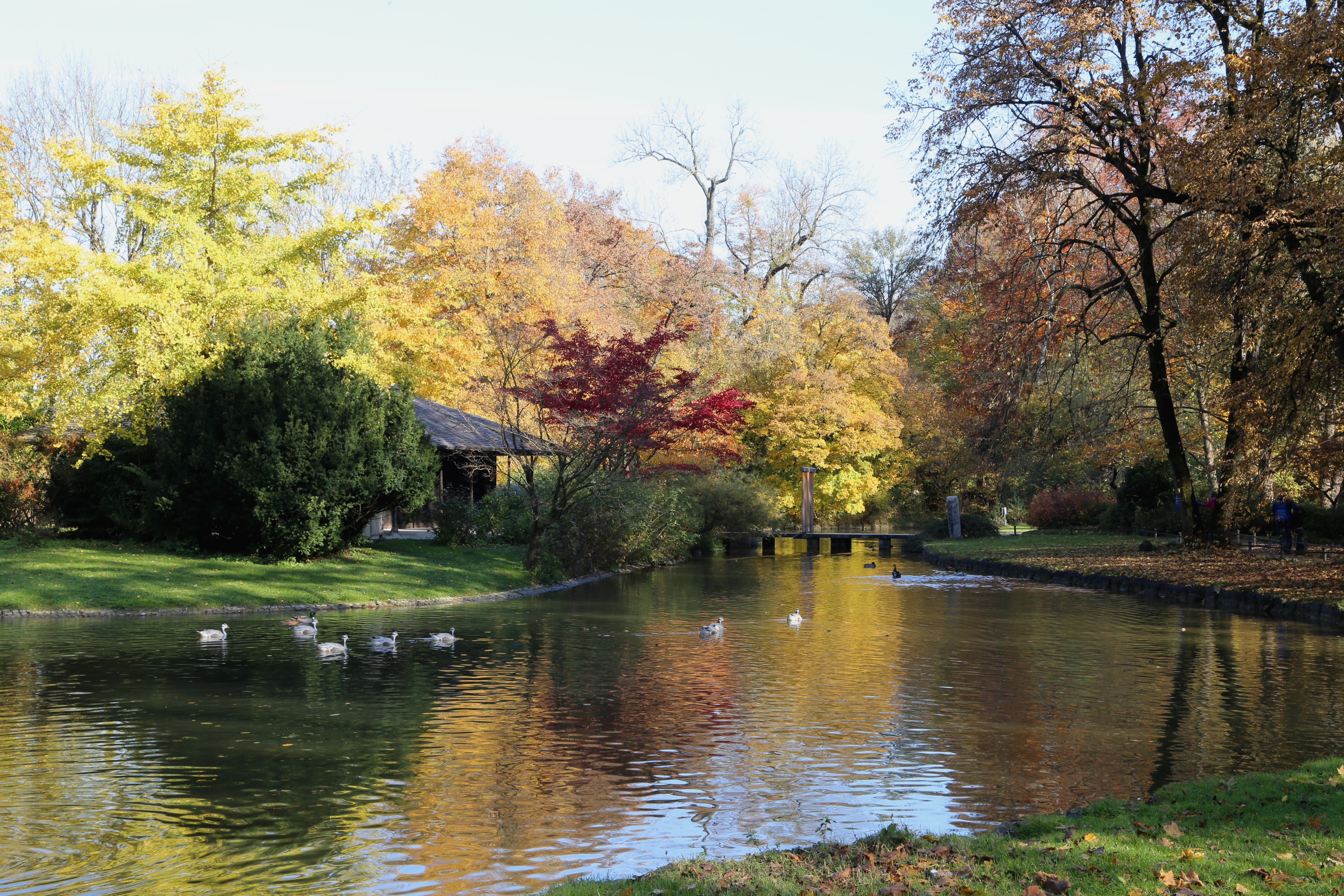 Englischer Garten München
 File Japanisches Teehaus Englischer Garten Muenchen 1