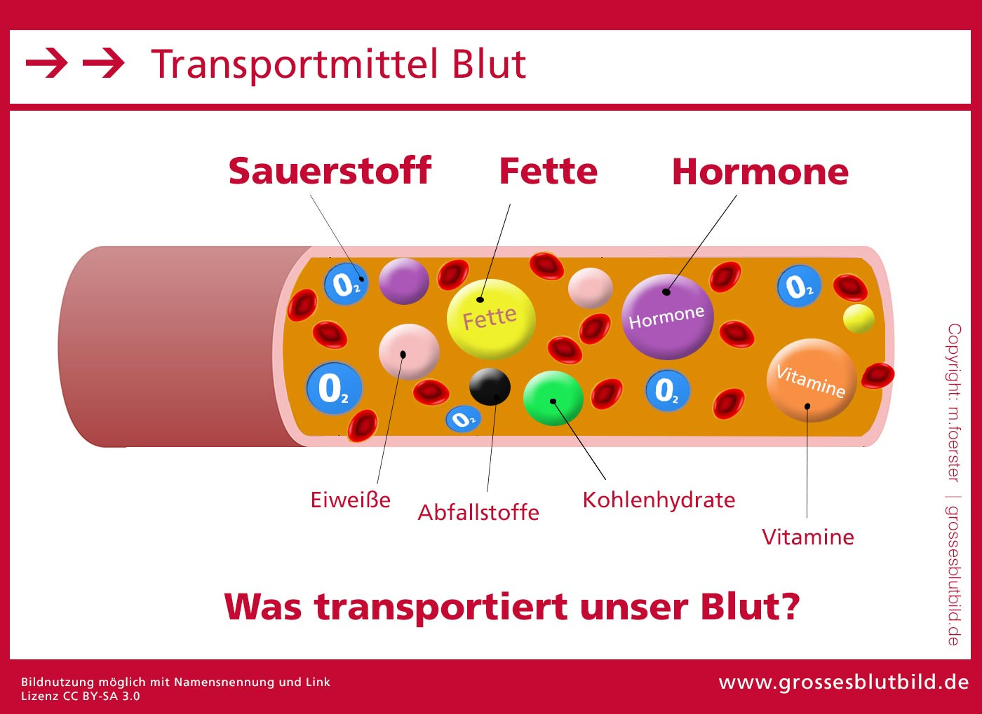 Entzündungswerte Im Blut Tabelle
 Hormone im Blut Aufgaben und Funktionen Dr Stephan