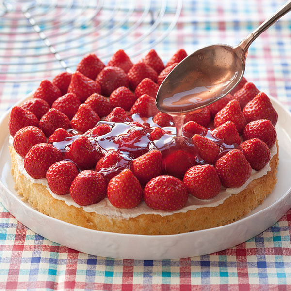 Erdbeer Vanillepudding Kuchen
 Erdbeer Biskuit Kuchen Rezept