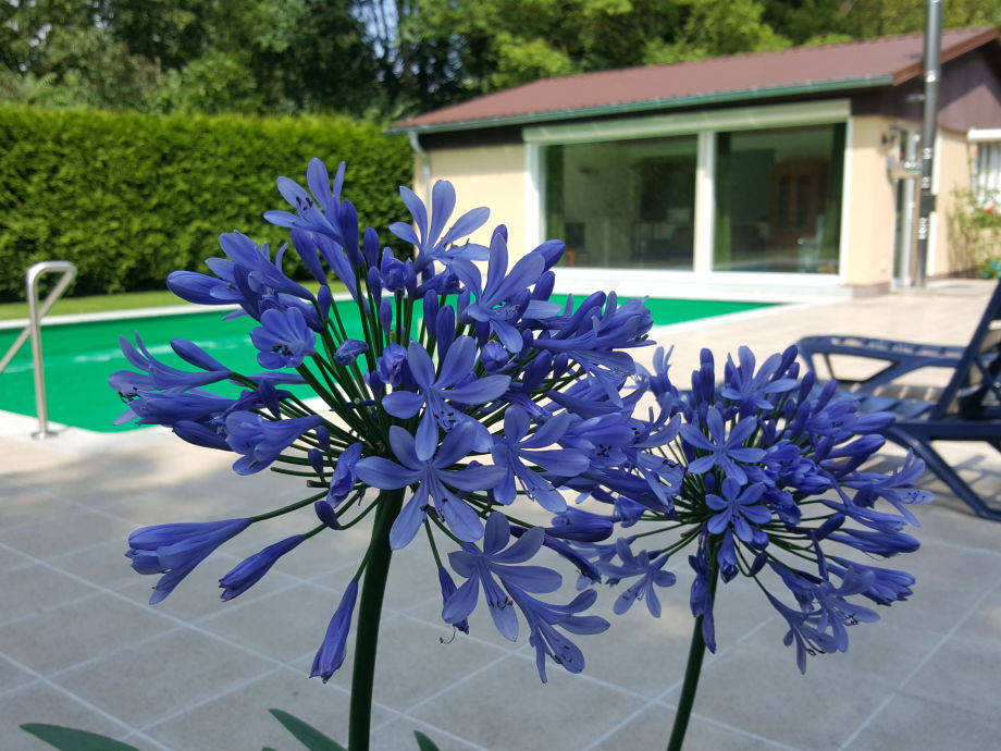 Ferienhaus Mit Schwimmbad
 Ferienhaus mit Schwimmbad Potsdam Babelsberg Firma