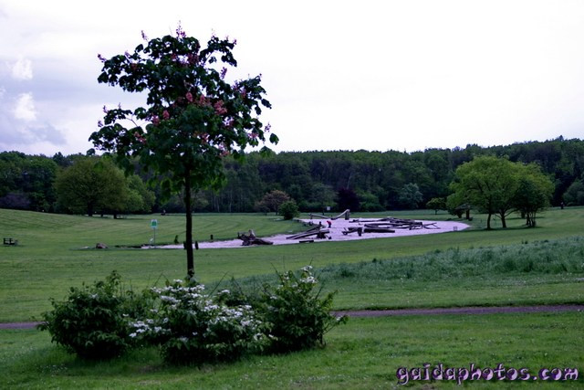 Forstbotanischer Garten Köln
 Köln Rodenkirchen Forstbotanischer Garten Fotos