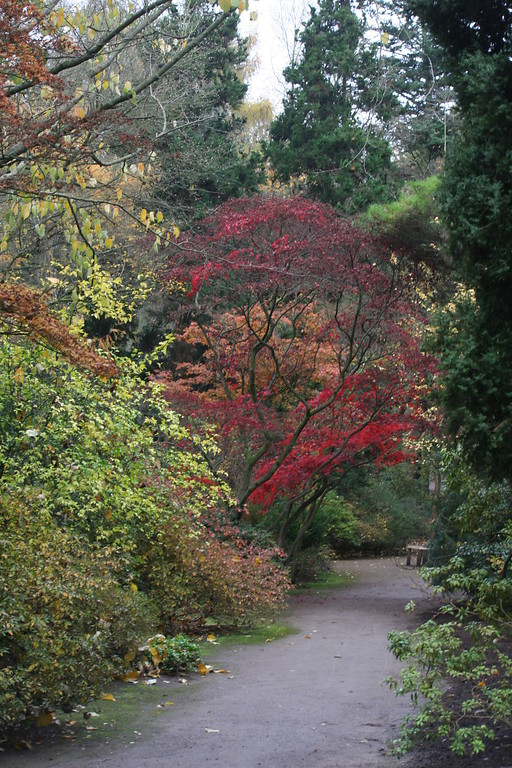 Forstbotanischer Garten Köln
 Forstbotanischer Garten mit Friedenswald zwischen