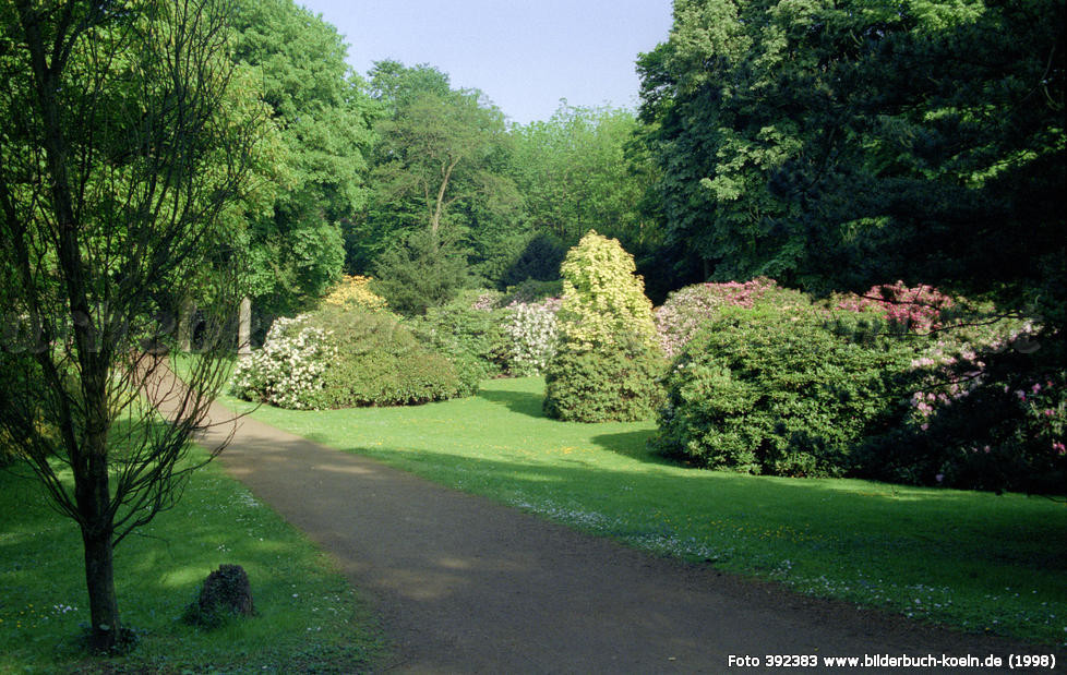 20 Besten forstbotanischer Garten Köln Beste Wohnkultur