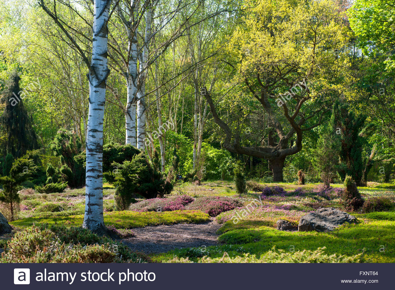 Forstbotanischer Garten Köln
 Deutschland Nordrhein Westfalen Köln Rodenkirchen