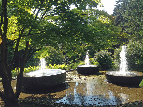 Forstbotanischer Garten Köln
 Parks in Köln Forstbotanischer Garten