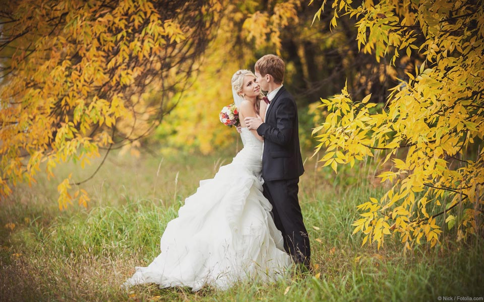 Foto Hochzeit
 Hochzeit