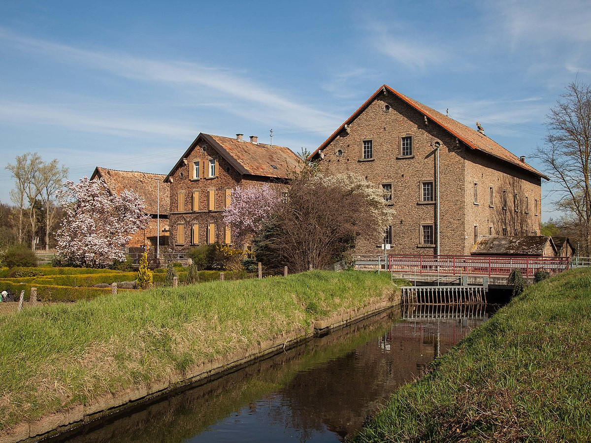 Fronmühle Bad Dürkheim
 Fronmühle Haßloch –