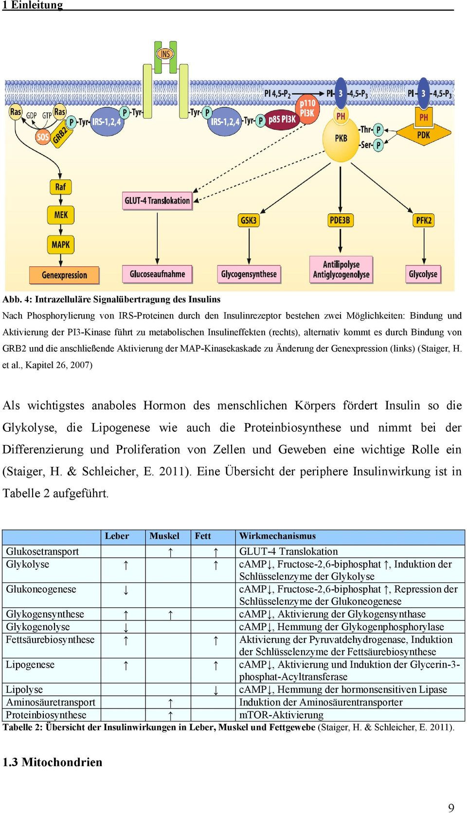 Fructose Tabelle Pdf
 Einfluss einer Cytochrom c Oxidase Mutation auf