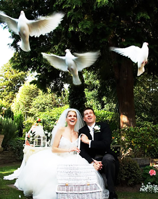 Fürbitten Hochzeit Mal Anders
 Traumhochzeit mal anders planen und feiern fresHouse