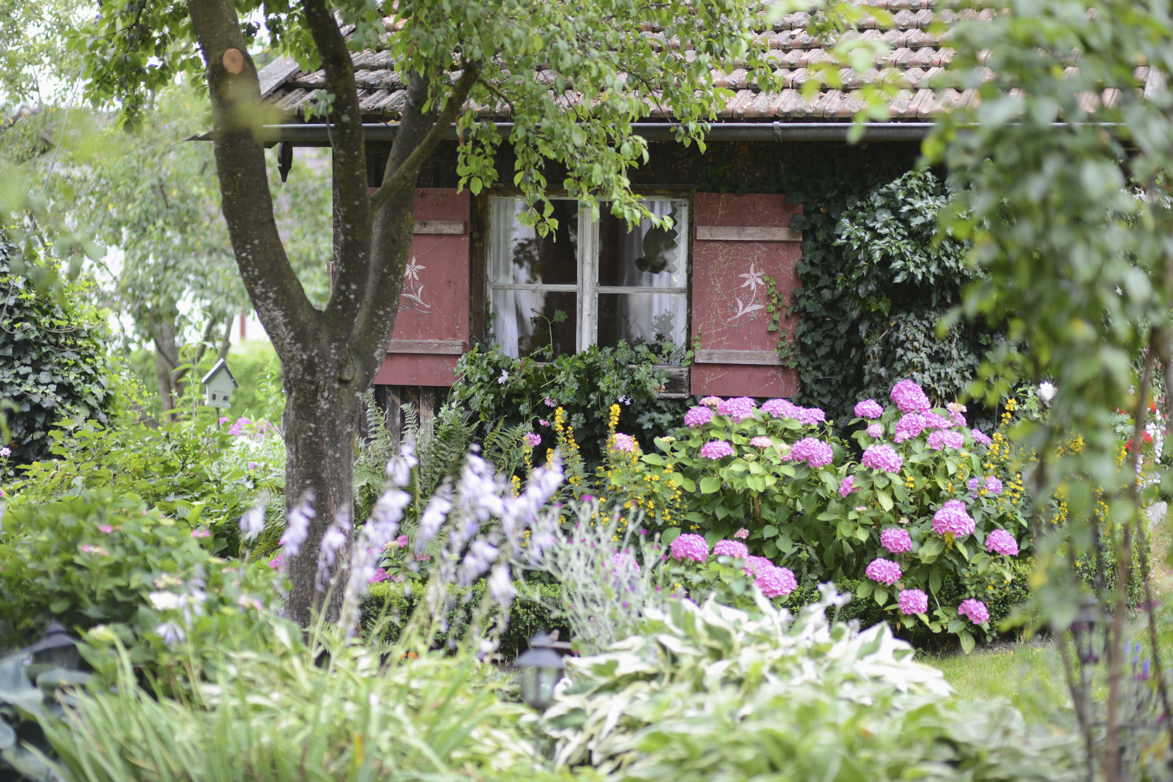 Garten Anlegen
 Cottage Garten anlegen Perfekte Unvollkommenheit schaffen
