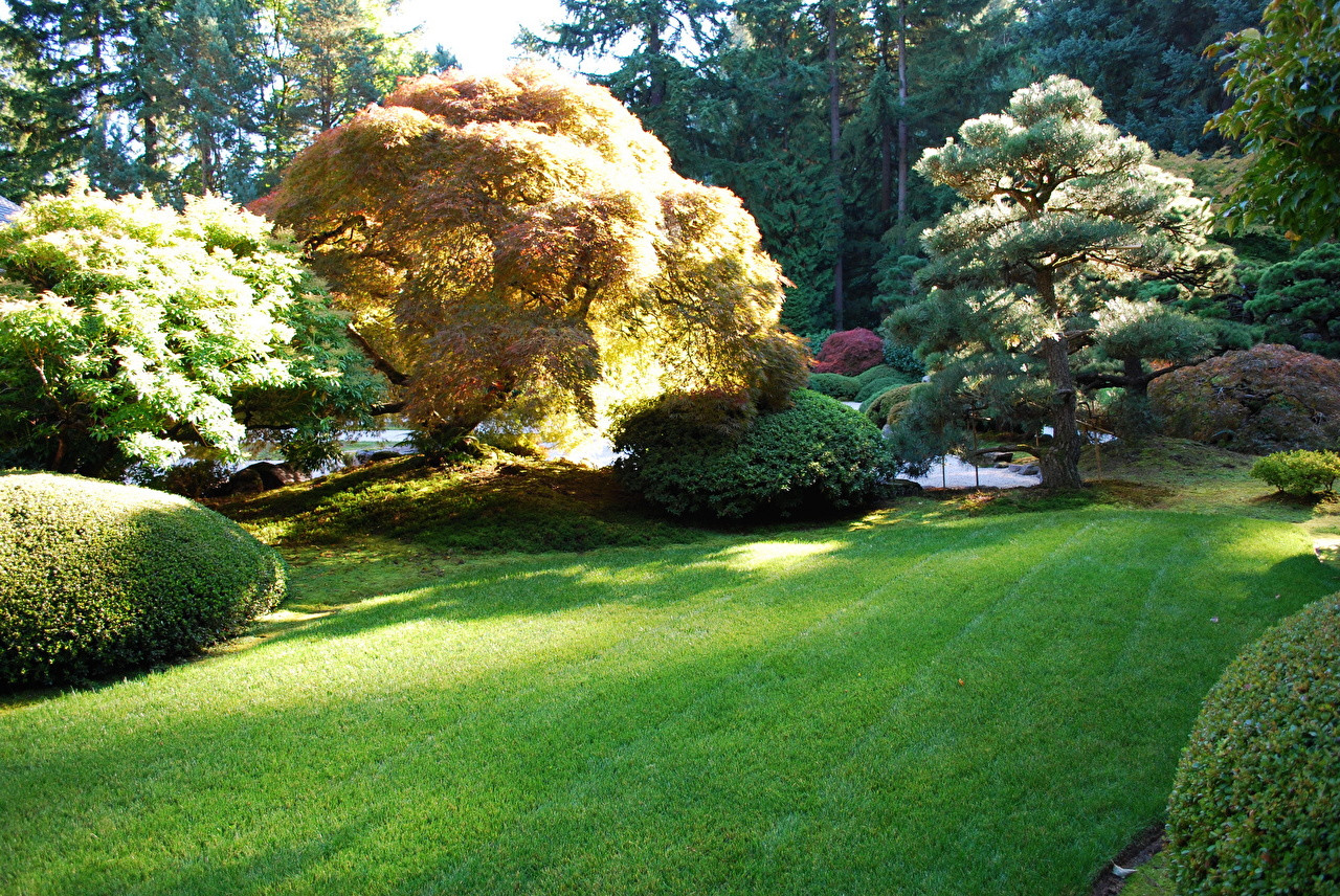 Garten Bäume
 Bilder von USA Portland Natur Garten Gras Bäume