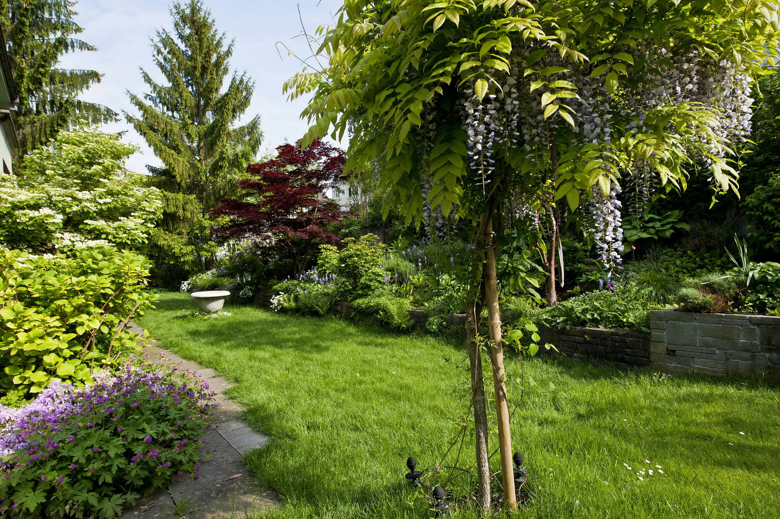 Garten Bäume
 Hintergrundbilder Natur Garten Bäume Strauch