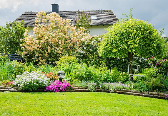 Garten Bäume
 Hausbäume im Garten – Arten und Pflege OBI erklärt