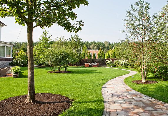 Garten Bäume
 Hausbäume im Garten – Arten und Pflege OBI erklärt