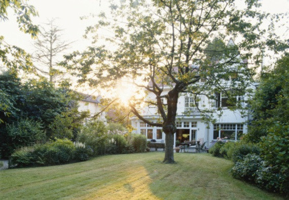 Garten Bäume
 Bäume im Garten – OBI Anleitung