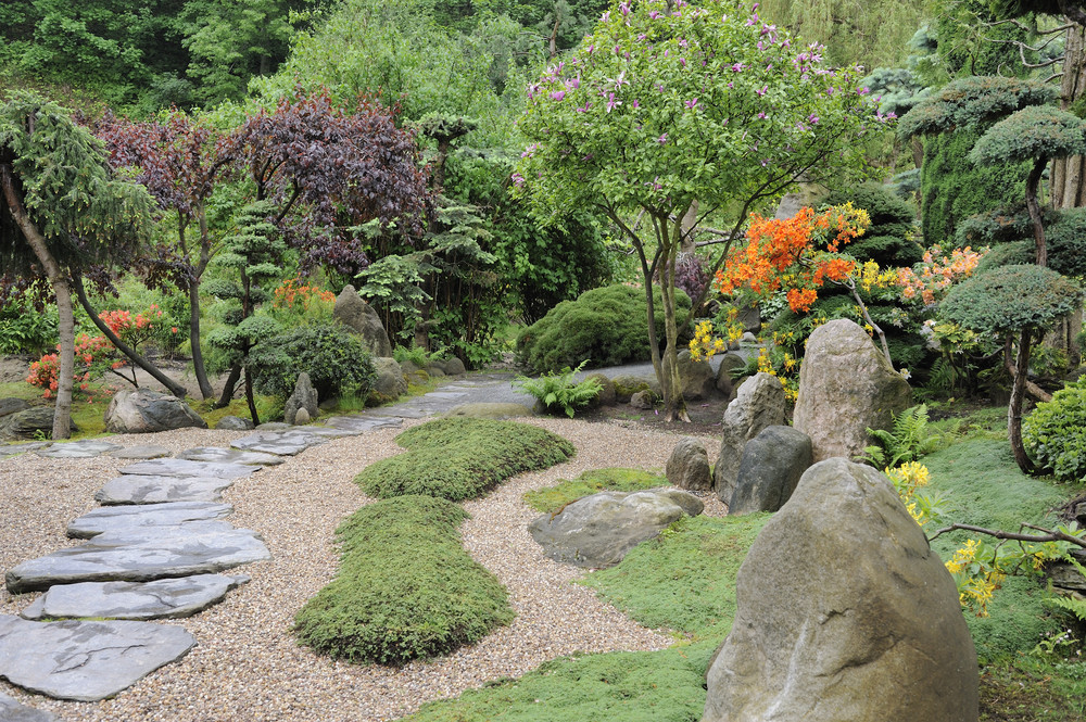 Garten Bäume
 Bäume für den japanischen Garten Welche passen am besten