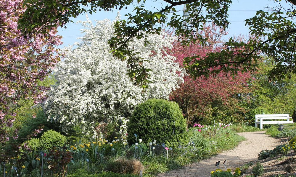 Garten Eden
 Lehr und Versuchsgarten Braike Garten Eden Nürtingen