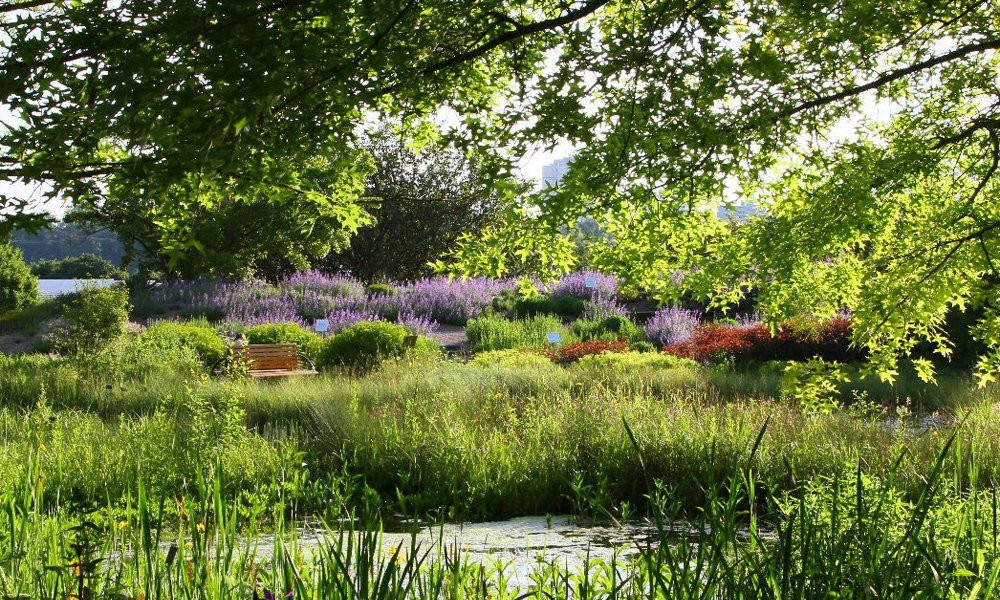 Garten Eden
 Lehr und Versuchsgarten Braike Garten Eden Nürtingen