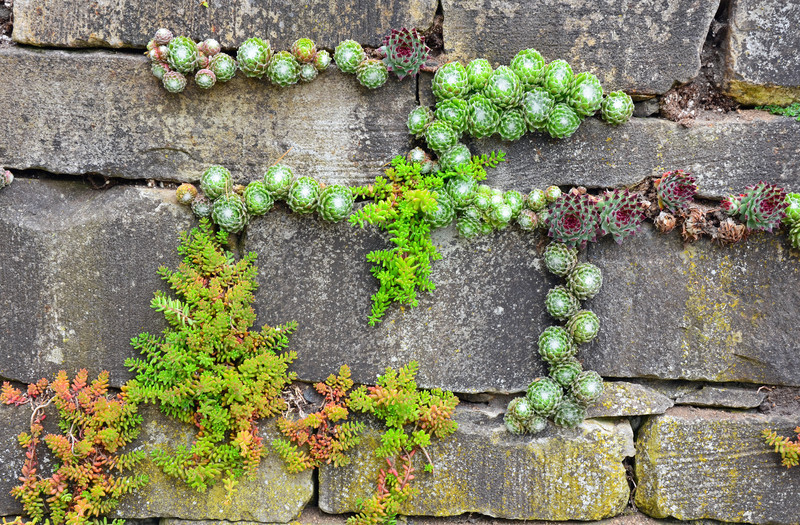 Garten Mauer
 Gartenmauer verschönern Methoden & Ideen