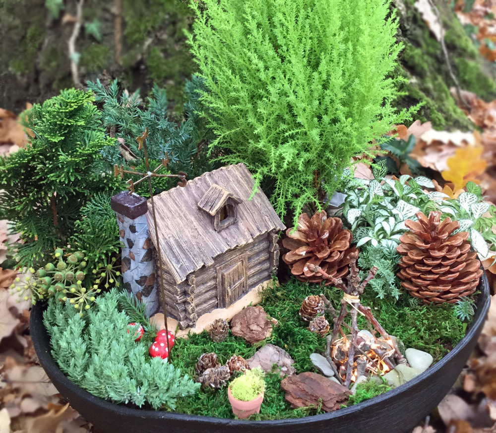 Garten Shop
 Mini Garten Waldlichtung – Miniatur Garten Shop