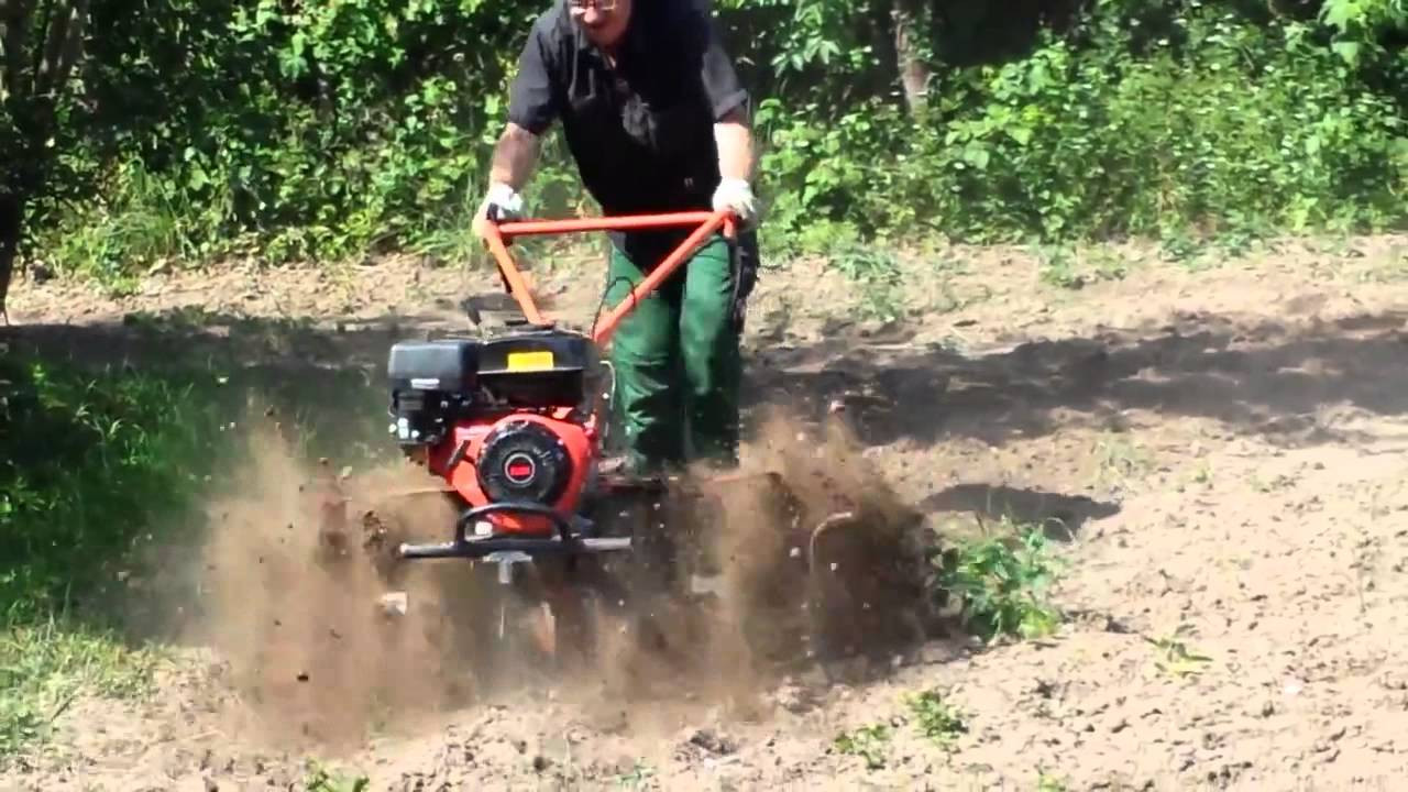 Garten Umgraben
 Garten umgraben anlegen Unkraut wurzeln entfernen