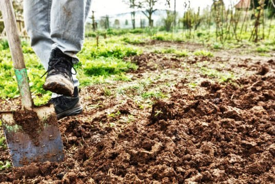 Garten Umgraben
 Boden & Kompost auf Gartentipps