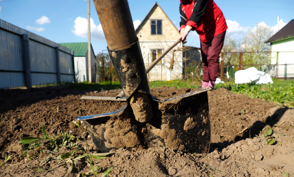 Garten Umgraben
 Garten umgraben Alles Wissenswerte für den Hobbygärtner